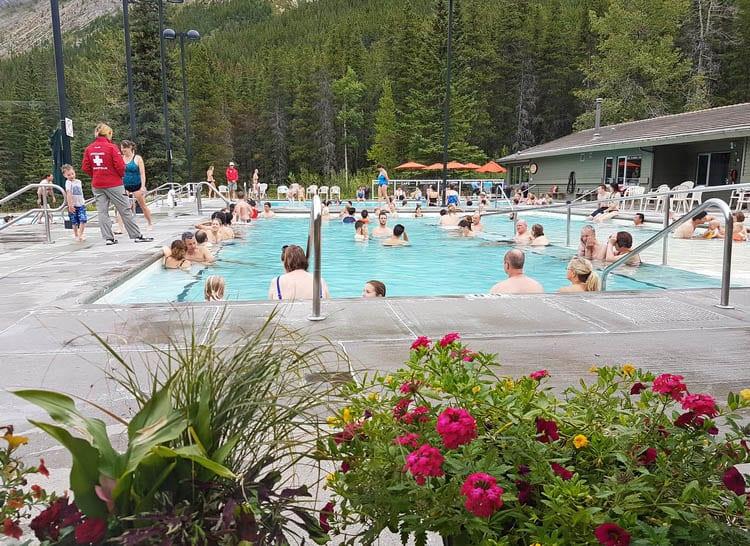 The Miette Hot Springs