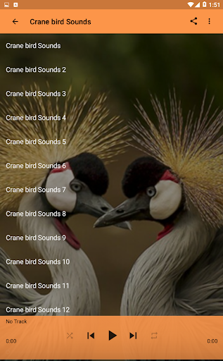 Crane bird Sounds