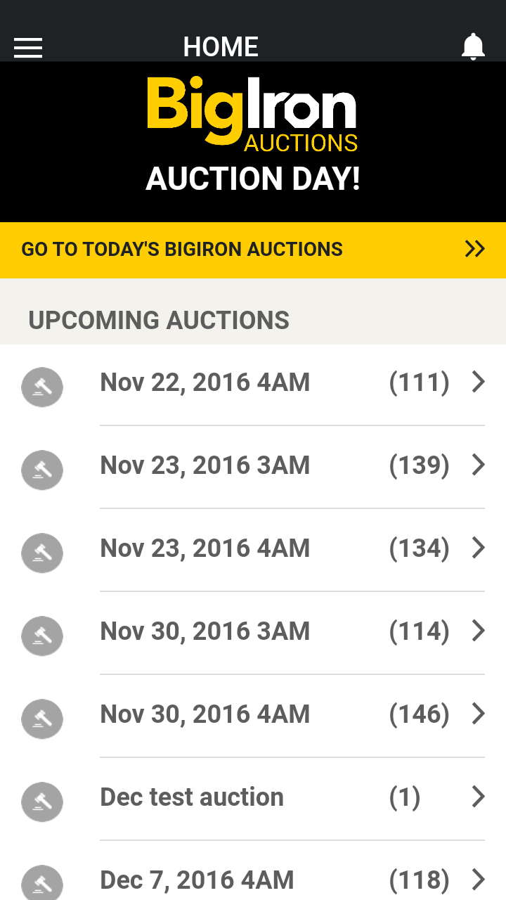 BigIron Auctions Screen 2