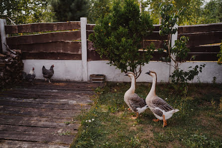 Wedding photographer Marzena Hans (ajemstories). Photo of 19 March 2022