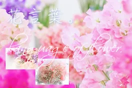 花言葉。language of flowers．