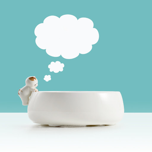 Title 4, Pet drinking water bowl, dog bowl, and rice bow...