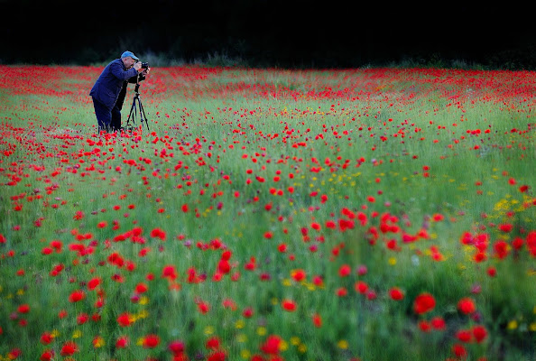 tra sussurri e fremiti di utente cancellato