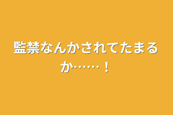 監禁なんかされてたまるか……！