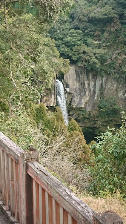 カズヤンさんが投稿した鹿児島・和気神社・白い亥に関するカスタム事例の投稿画像6枚目