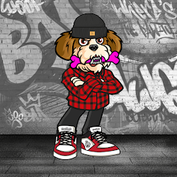 Shih Tzu 0833