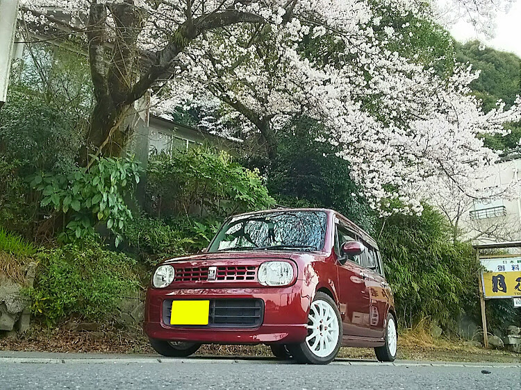 アルトラパンの桜コラボ・エムズガレージに関するカスタム事例の投稿画像1枚目