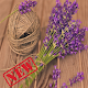 Download Beautiful Lavender Wallpaper For PC Windows and Mac 1.0