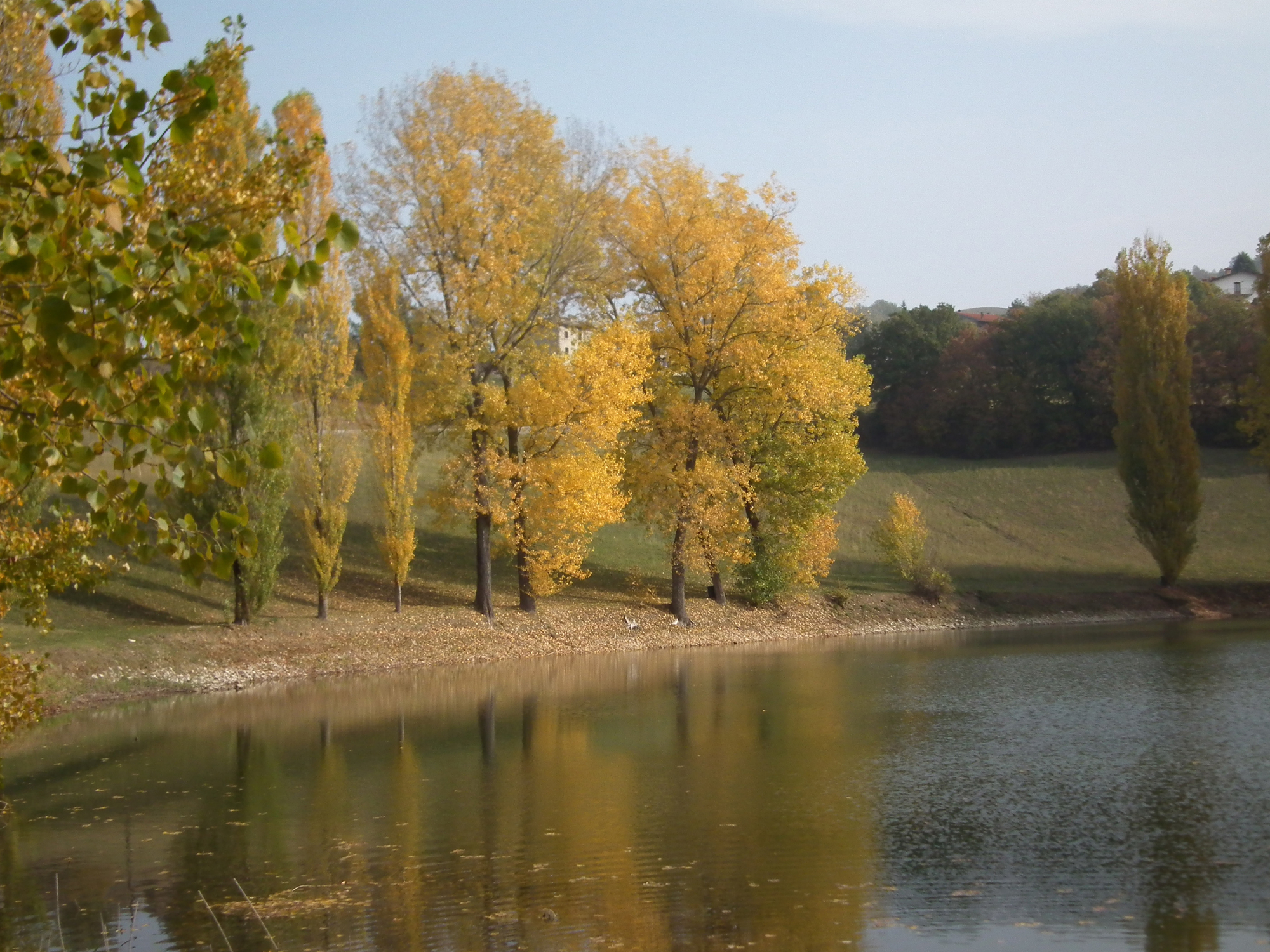 Tavolozza d'autunno di Giò Volpi