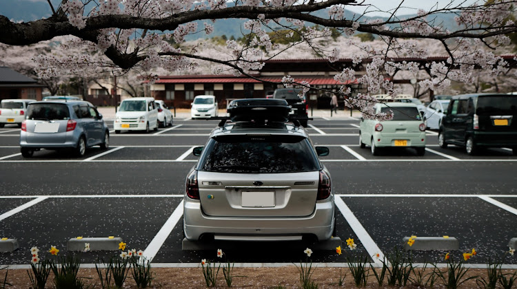 レガシィツーリングワゴンの桜とコラボ🌸・サクラと愛車・レガシィ・桜・bp5に関するカスタム事例の投稿画像1枚目