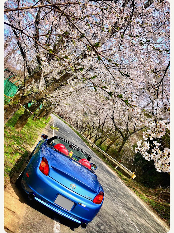 ソアラのもみじロード・R465・小櫃堰・吉井の水車小屋・アカデミアパークに関するカスタム事例の投稿画像7枚目