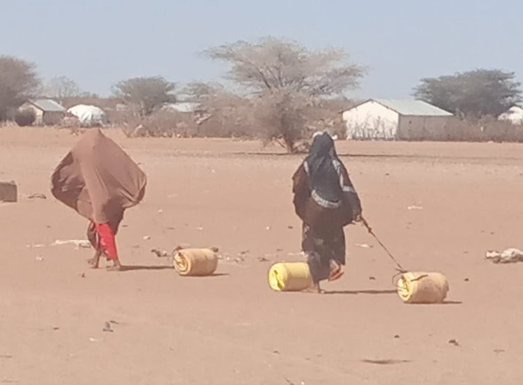 Women pull jerrycans in Dambas, Wajir West subcounty.