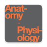 Anatomy & Physiology Textbook icon