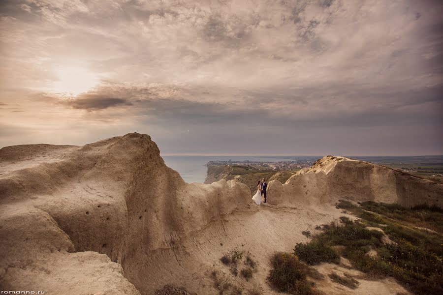 Wedding photographer Roman Kharlamov (romanno93). Photo of 25 June 2014