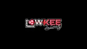 Lowkee Security Logo