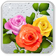 Download Rosy Rain Drops Live Wallpaper For PC Windows and Mac 1.1.1