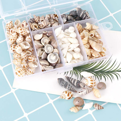 Title 1, Mixed Natural Small Snail Aquarium Landscaping ...