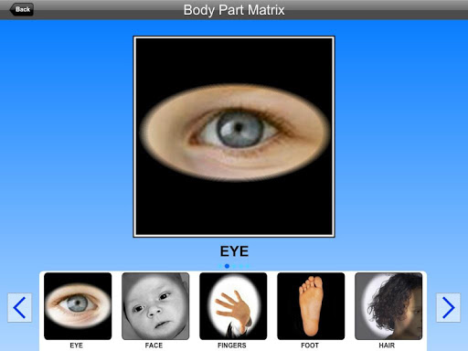 Body Part Matrix Lite Version 2.0 screenshots 2