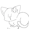 ユーザー