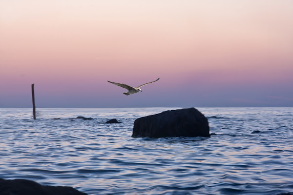 Gettai al mare le domande e mi tranquillizzai di MariannaDeluca