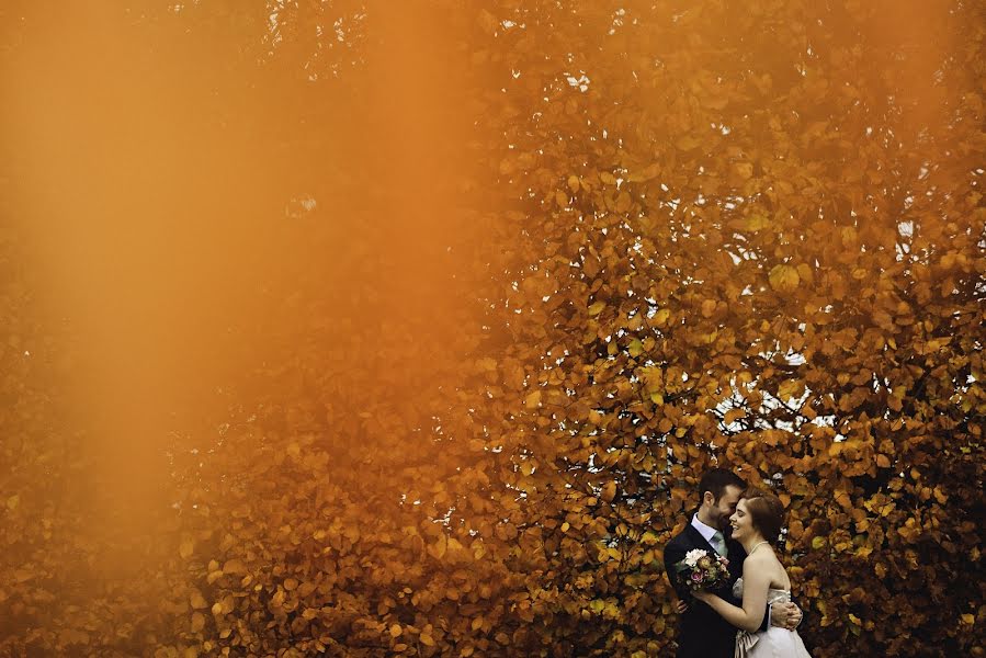 Fotógrafo de casamento Dan Morris (danmorris). Foto de 11 de agosto 2017