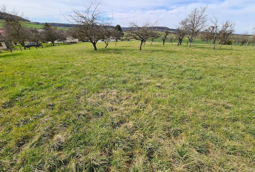  Vente Terrain agricole - à Mésandans (25680) 