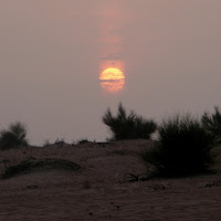 Sand sunset di 