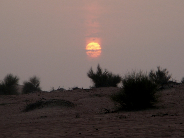 Sand sunset di foppihander