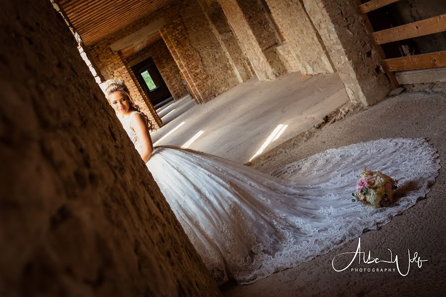 Wedding photographer Zsuzsanna Fisli (albawolfphoto). Photo of 21 January 2022