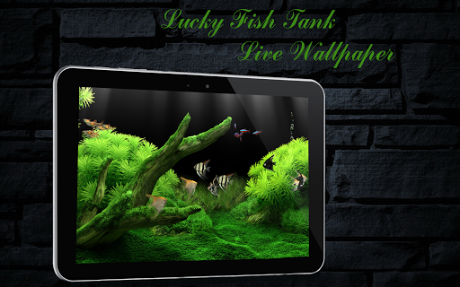 Lucky Fish Tank LiveWallpaper