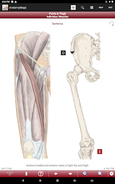 AnatomyMappのおすすめ画像2