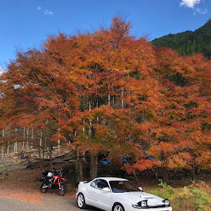セリカ ST185H