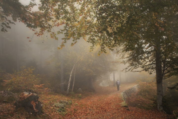 La natura inizia il lungo riposo di maurilu