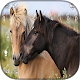 horse lovers Keyboard Download on Windows