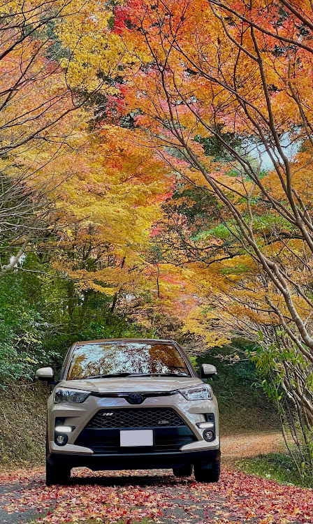 ライズの2024ベストショット12月・紅葉と愛車・ライズ・内子五十崎龍王公園に関するカスタム事例の投稿画像5枚目