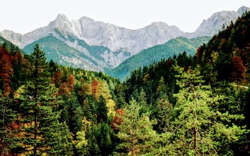  -10 Karwendelblick Nordkette vom Hochwaldweg aus Scharnitz Tirol