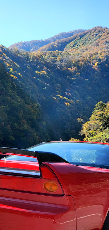 NSXのランディ　セナさんが投稿したカスタム事例の投稿画像1枚目