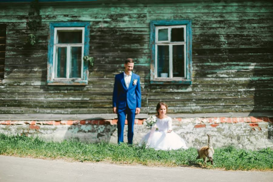 Свадебный фотограф Дмитрий Стенько (loveframe). Фотография от 28 августа 2017