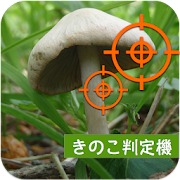 きのこ判定機 1.0.0-alpha-6 Icon