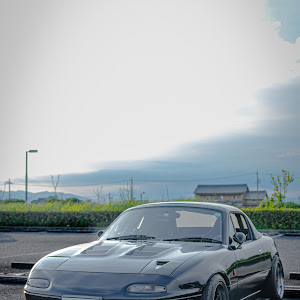 ロードスター NA8C