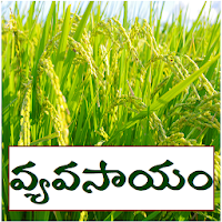 Vyavasayam  Annadatha Agriculture Info Telugu