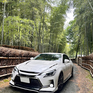 マークX GRX130