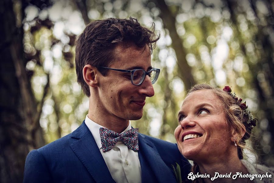 Wedding photographer Sylvain David (sylvaindavid). Photo of 13 April 2019