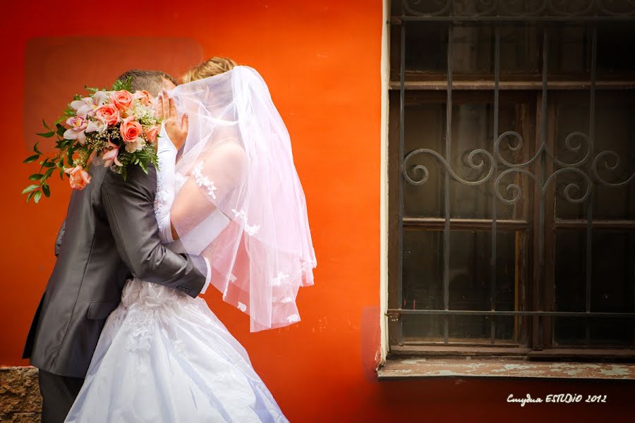 Wedding photographer Aleksandr Golubev (alexmedia). Photo of 3 April 2013