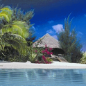 Caribbean Beach Live Wallpaper icon