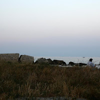 All'ombra dell'ultimo sole  s'era assopito un pescatore... di 