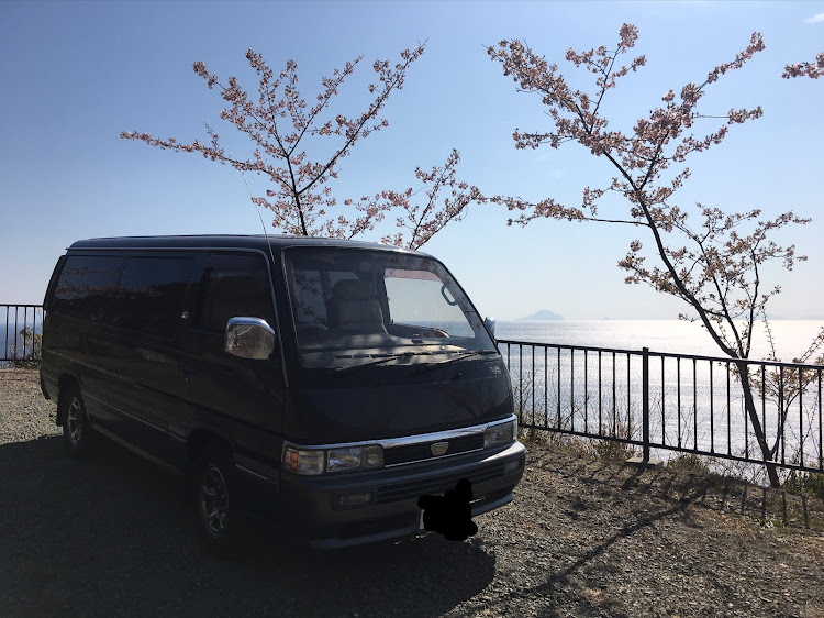 ホーミーコーチの河津桜とコラボ・尾ヶ崎ウィング・河津桜に関するカスタム事例の投稿画像3枚目
