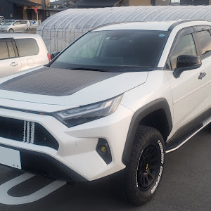 RAV4 AXAH54