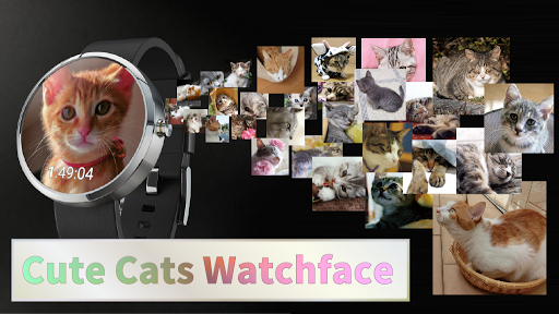 Cute Cats Watchface