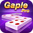 Domino Gaple Pro1.6.6